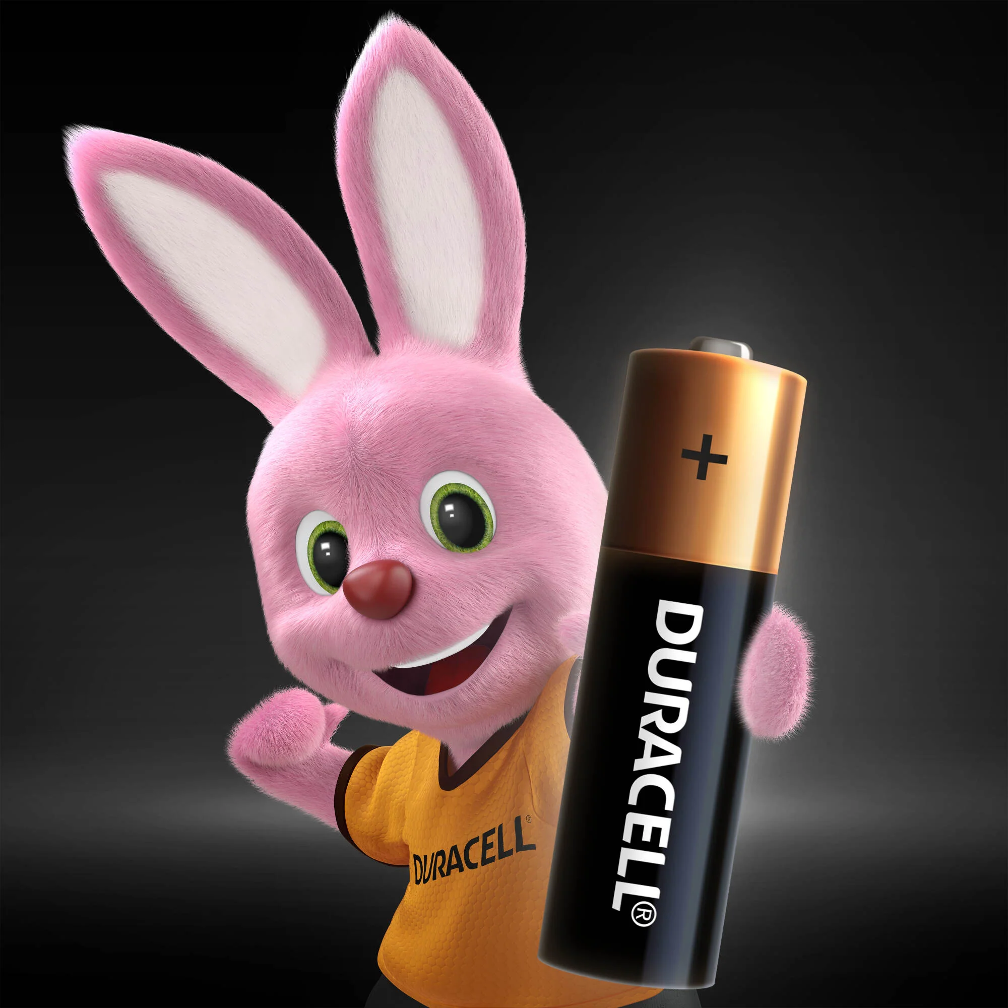 Duracell Alkaline AA Batteries, pack of 5 - Image 4